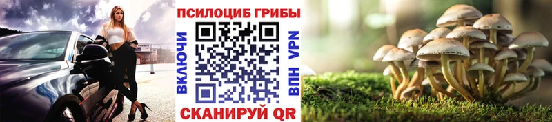 цена   Воронеж  Псилоцибиновые грибы Cubensis 